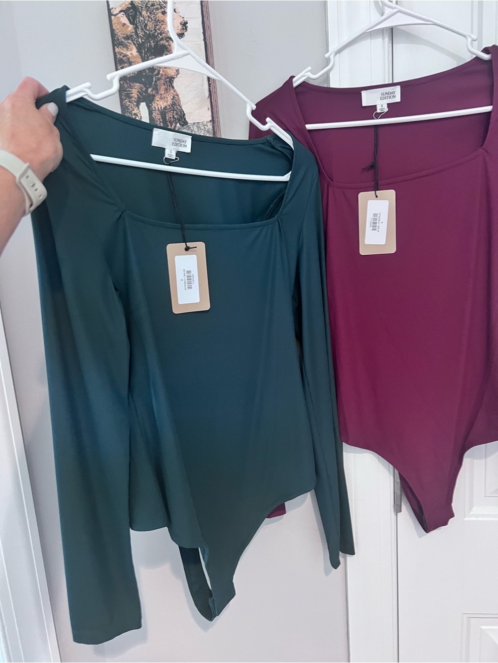 Sunday Edition Long-Sleeve Square Neck Bodysuit - 2 pcs Green and Maroon